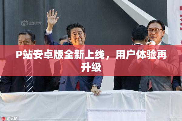 P站安卓版全新上线，用户体验再升级