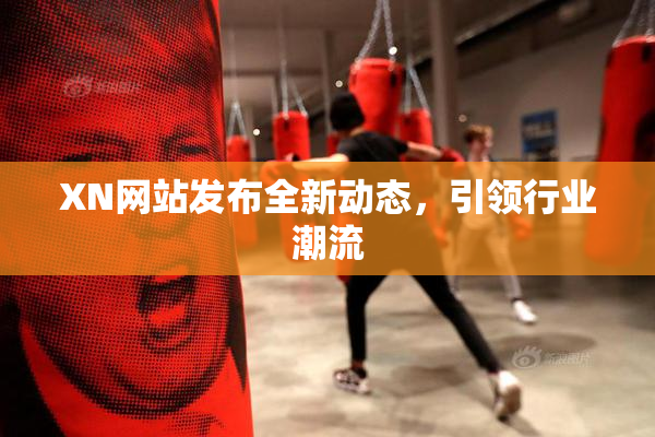 XN网站发布全新动态，引领行业潮流