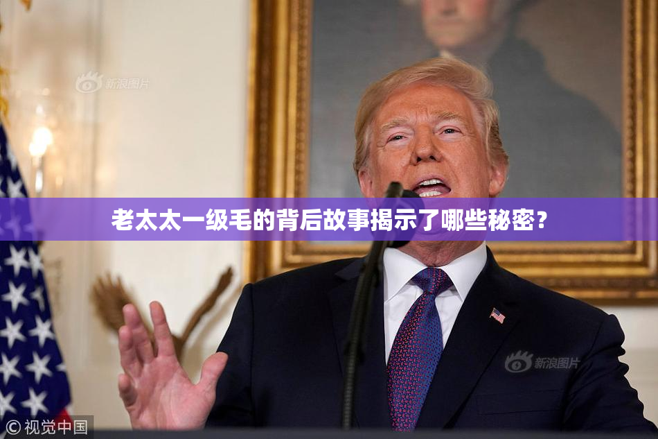 老太太一级毛的背后故事揭示了哪些秘密？