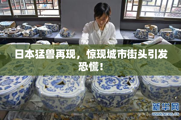 日本猛兽再现，惊现城市街头引发恐慌！
