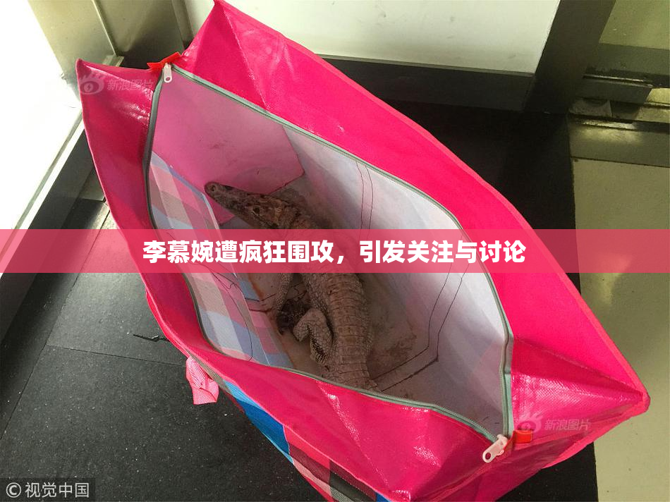 李慕婉遭疯狂围攻，引发关注与讨论