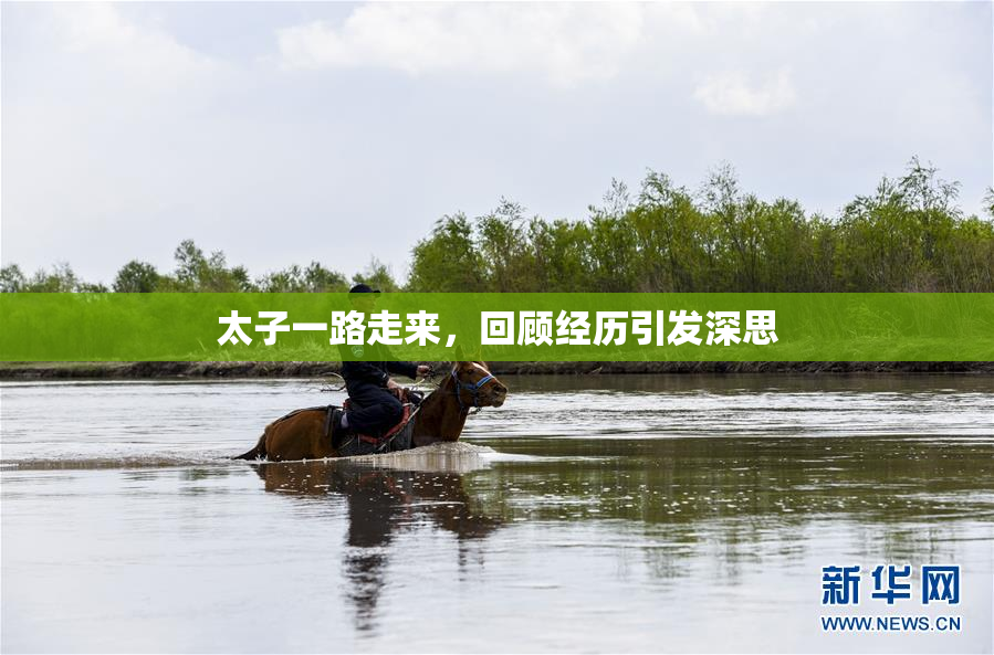 太子一路走来，回顾经历引发深思