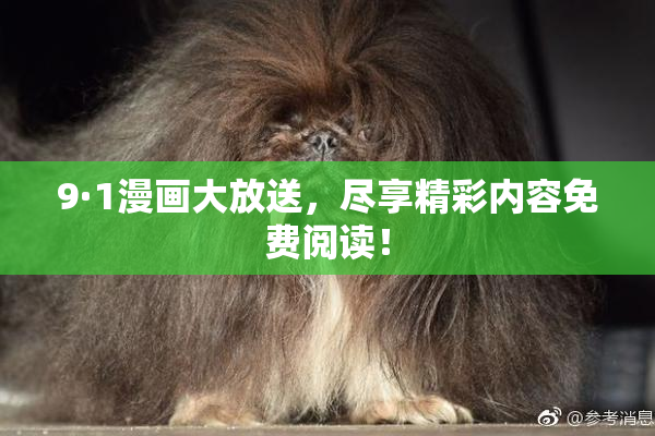 9·1漫画大放送，尽享精彩内容免费阅读！