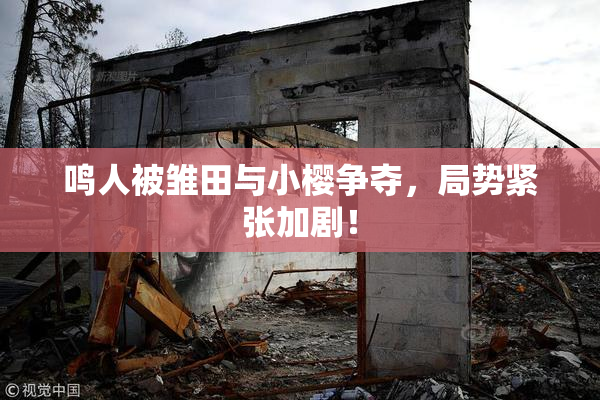鸣人被雏田与小樱争夺，局势紧张加剧！