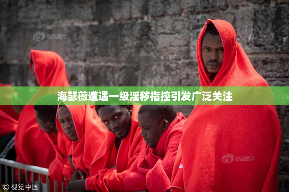 海瑟薇遭遇一级淫秽指控引发广泛关注