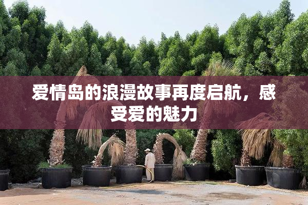 爱情岛的浪漫故事再度启航，感受爱的魅力
