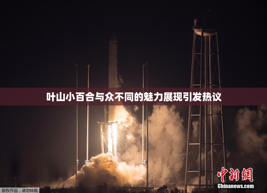 叶山小百合与众不同的魅力展现引发热议