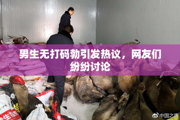 男生无打码勃引发热议，网友们纷纷讨论