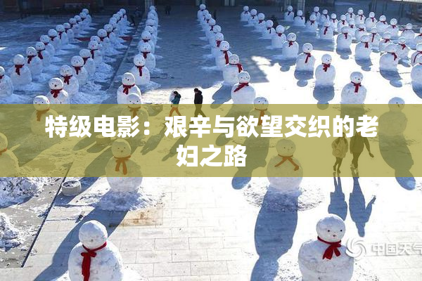 特级电影：艰辛与欲望交织的老妇之路