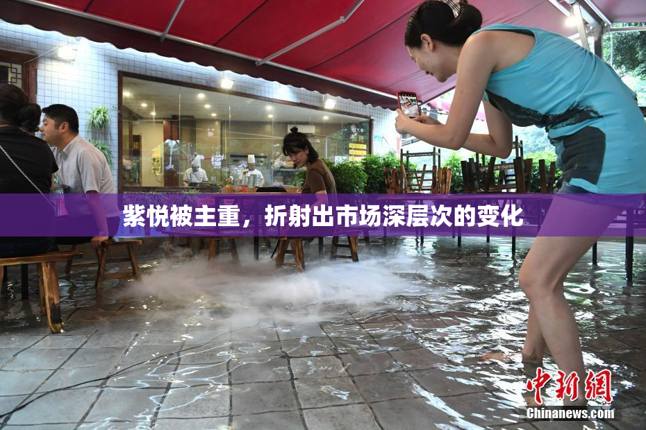 紫悦被主重，折射出市场深层次的变化