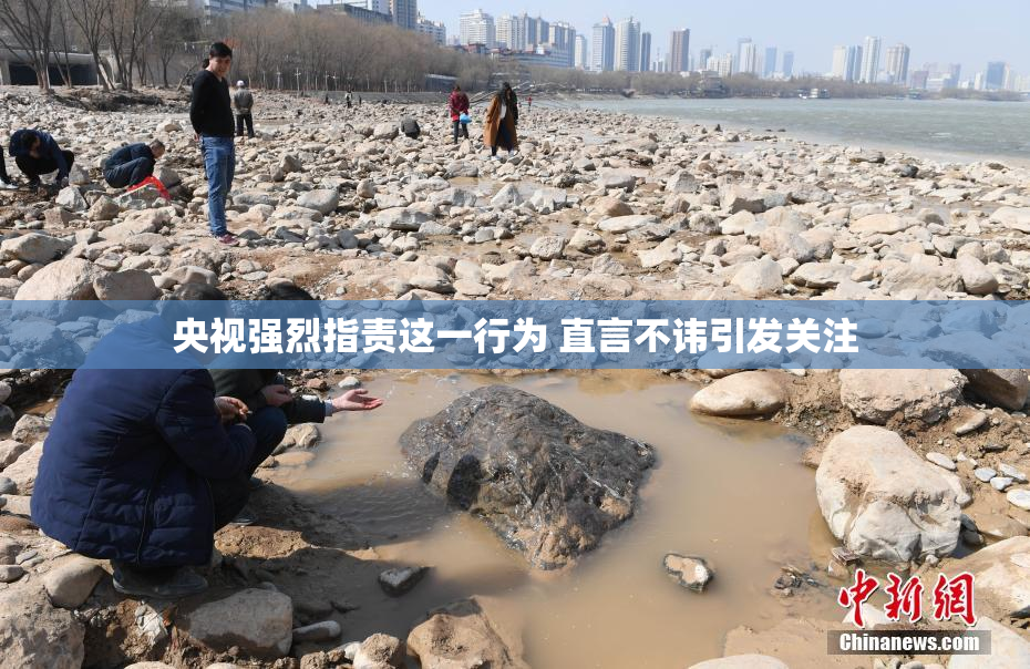央视强烈指责这一行为 直言不讳引发关注