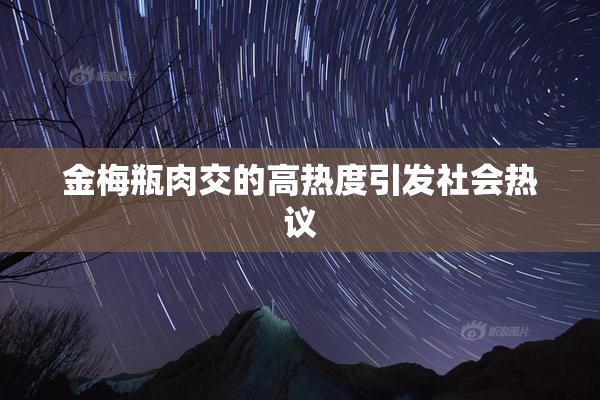 金梅瓶肉交的高热度引发社会热议