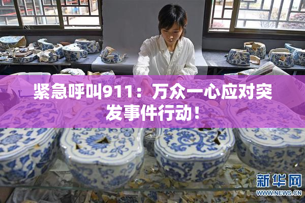 紧急呼叫911：万众一心应对突发事件行动！