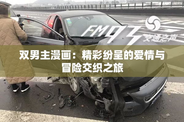 双男主漫画：精彩纷呈的爱情与冒险交织之旅