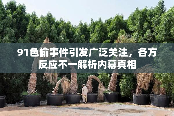 91色偷事件引发广泛关注，各方反应不一解析内幕真相