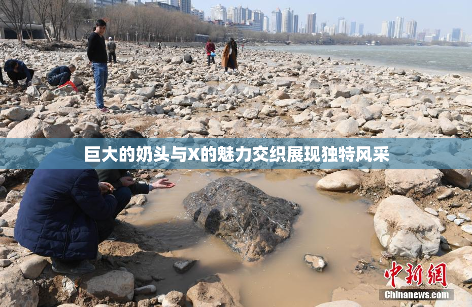 巨大的奶头与X的魅力交织展现独特风采