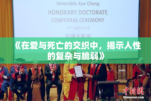 《在爱与死亡的交织中，揭示人性的复杂与脆弱》