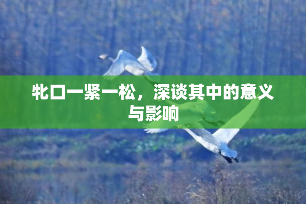 牝口一紧一松，深谈其中的意义与影响