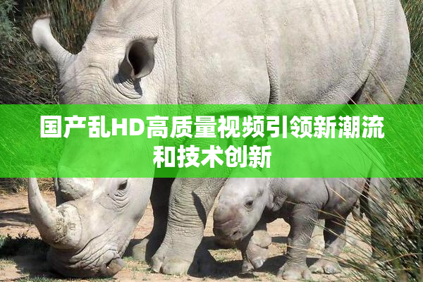 国产乱HD高质量视频引领新潮流和技术创新