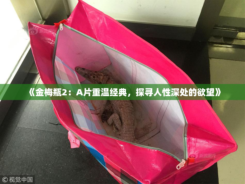 《金梅瓶2：A片重温经典，探寻人性深处的欲望》