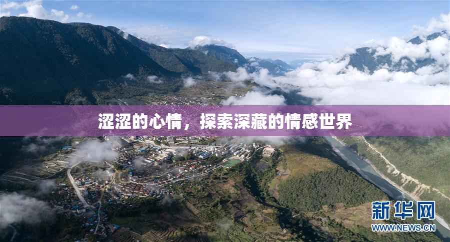 涩涩的心情，探索深藏的情感世界