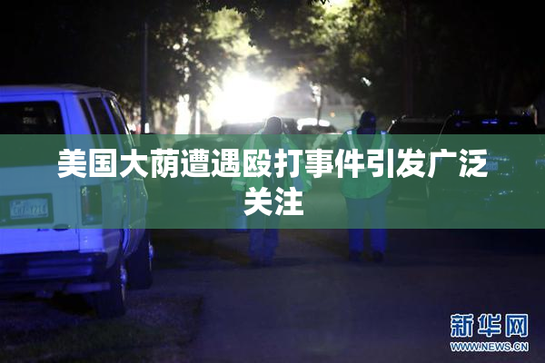 美国大荫遭遇殴打事件引发广泛关注