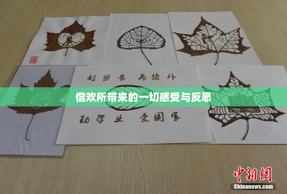 偿欢所带来的一切感受与反思