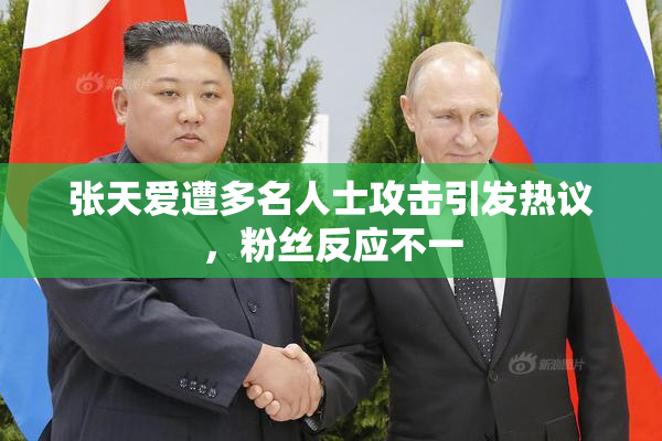 张天爱遭多名人士攻击引发热议，粉丝反应不一