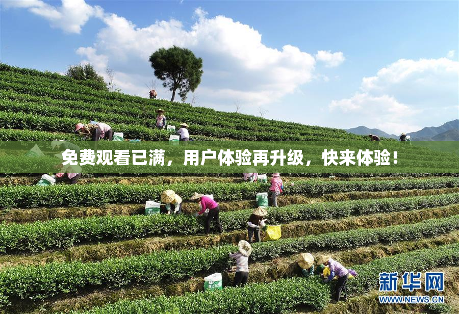 免费观看已满，用户体验再升级，快来体验！