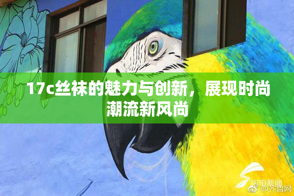17c丝袜的魅力与创新，展现时尚潮流新风尚