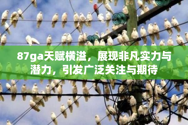 87ga天赋横溢，展现非凡实力与潜力，引发广泛关注与期待