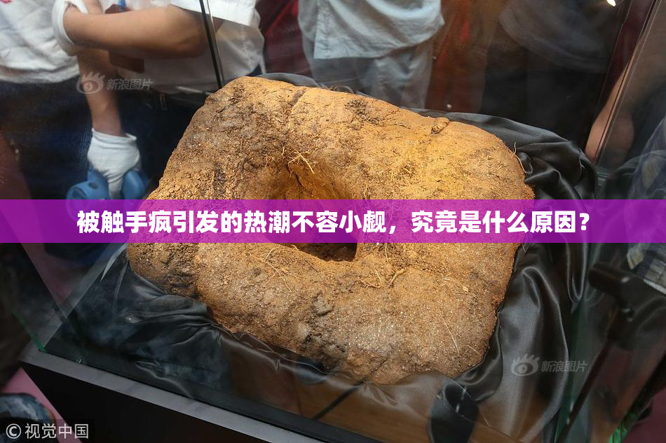 被触手疯引发的热潮不容小觑，究竟是什么原因？