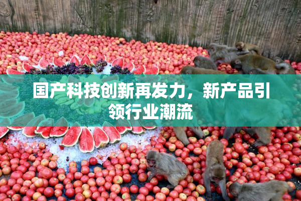 国产科技创新再发力，新产品引领行业潮流