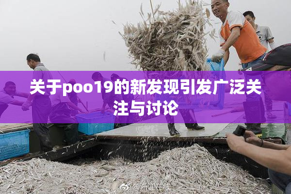 关于poo19的新发现引发广泛关注与讨论