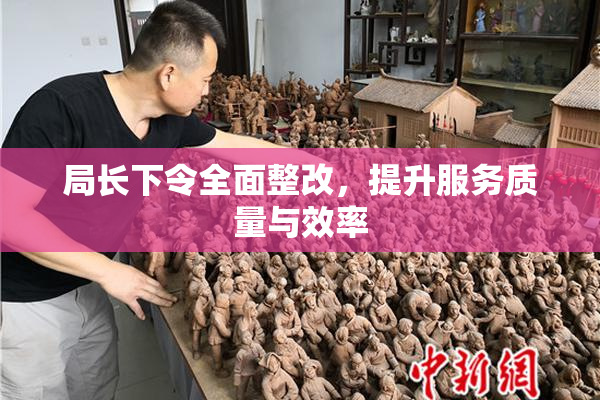 局长下令全面整改，提升服务质量与效率
