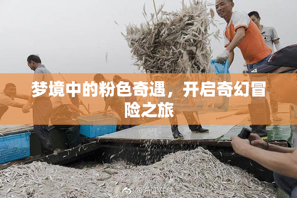 梦境中的粉色奇遇，开启奇幻冒险之旅