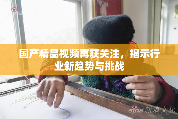 国产精品视频再获关注，揭示行业新趋势与挑战