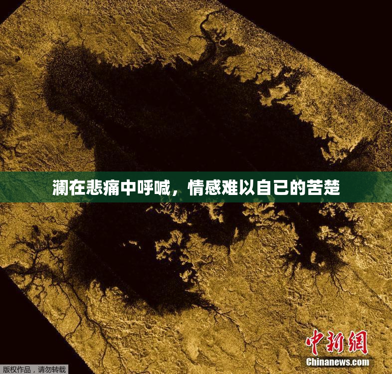 澜在悲痛中呼喊，情感难以自已的苦楚