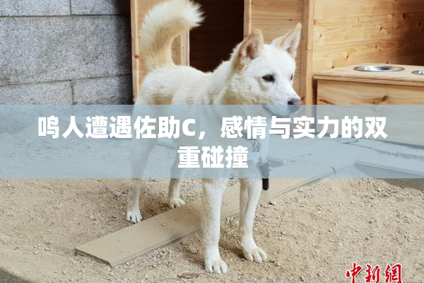 鸣人遭遇佐助C，感情与实力的双重碰撞