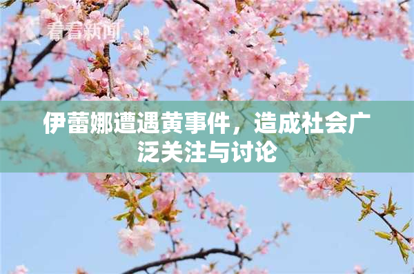伊蕾娜遭遇黄事件，造成社会广泛关注与讨论
