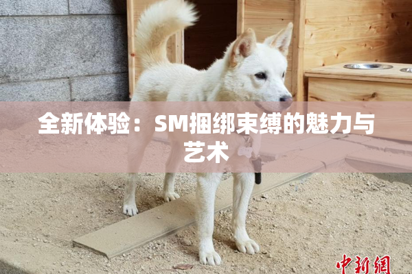 全新体验：SM捆绑束缚的魅力与艺术