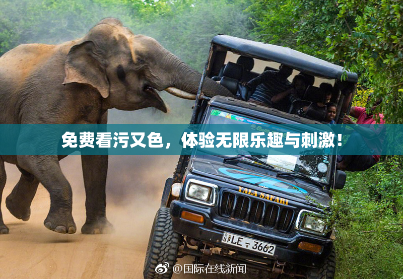 免费看污又色，体验无限乐趣与刺激！