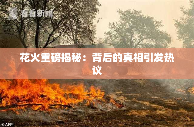 花火重磅揭秘：背后的真相引发热议