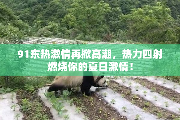 91东热激情再掀高潮，热力四射燃烧你的夏日激情！