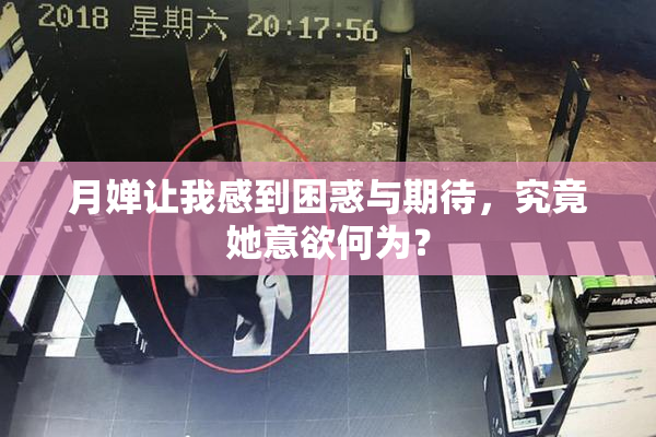 月婵让我感到困惑与期待，究竟她意欲何为？