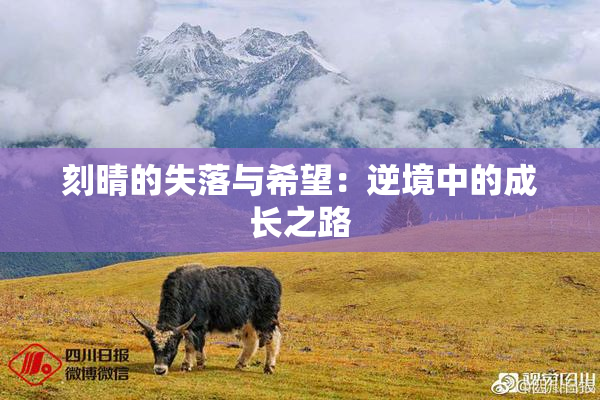 刻晴的失落与希望：逆境中的成长之路