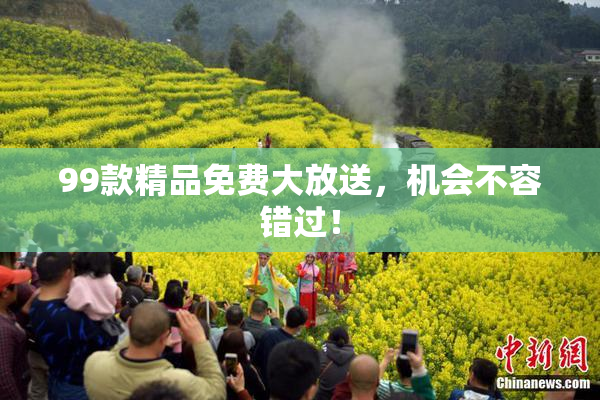 99款精品免费大放送，机会不容错过！