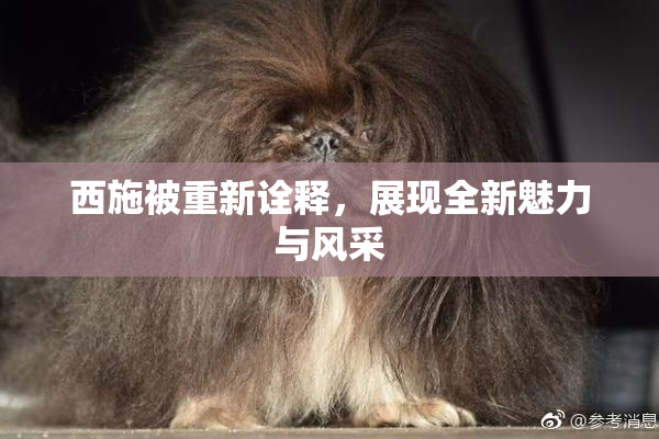 西施被重新诠释，展现全新魅力与风采