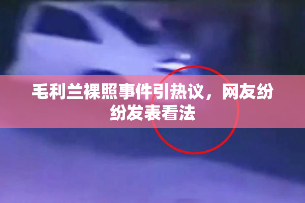 毛利兰裸照事件引热议，网友纷纷发表看法