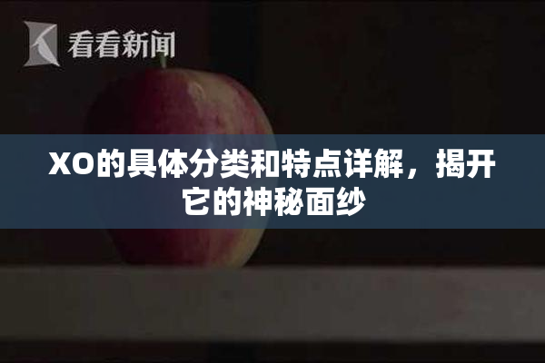 XO的具体分类和特点详解，揭开它的神秘面纱
